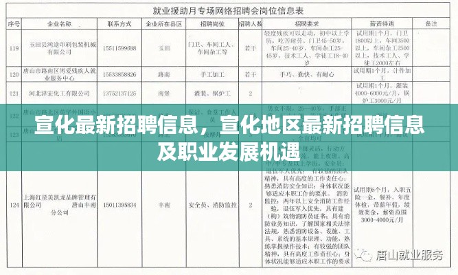 宣化地区最新招聘信息与职业发展机遇概览