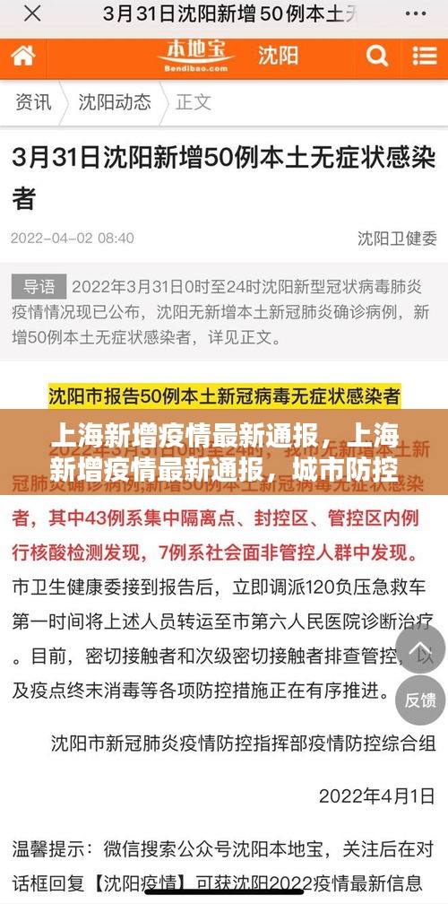 上海新增疫情最新通报，城市防控措施与公众应对态度分析