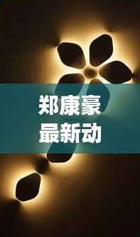 郑康豪最新动态，引领行业新风向，展现多元发展格局的魅力领袖