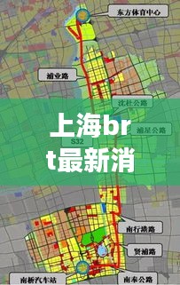 上海BRT最新动态，公共交通革新进展与未来展望