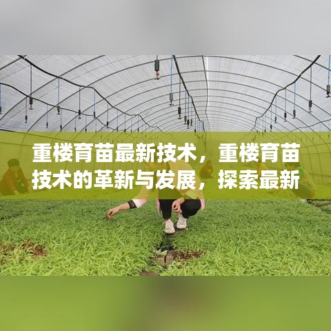 重楼育苗技术的革新与发展，探索最新育苗方法实践指南