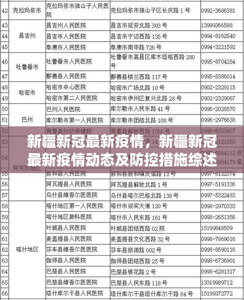 新疆新冠疫情最新动态，防控措施与疫情进展综述