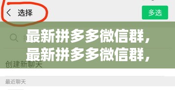 最新拼多多微信群，购物省钱的新潮流集结，优惠不停歇！