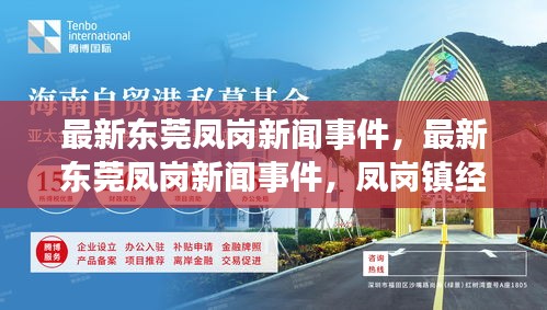 东莞凤岗镇经济繁荣与社会发展的多维观察，最新新闻事件解析