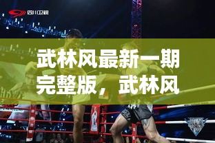 武林风最新一期完整版，热血格斗巅峰盛宴