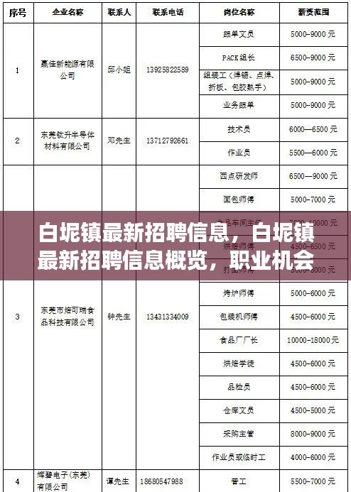 白坭镇最新招聘信息一览，职业探索与前景发展