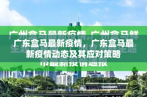 广东盒马最新疫情动态与应对策略解析