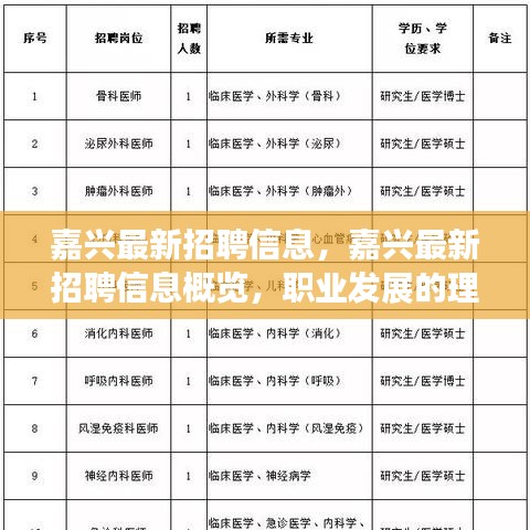 嘉兴最新招聘信息概览，职业发展的理想选择地，寻找理想职位的起点