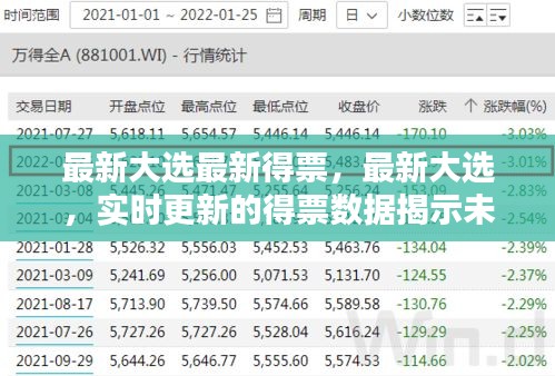 最新大选实时得票数据揭示未来走向