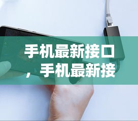 革新未来移动连接体验，最新手机接口技术亮相