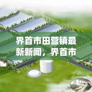 界首市田营镇发展动态与最新新闻概览