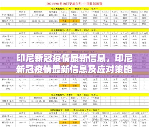 印尼新冠疫情最新信息及应对策略分析简报