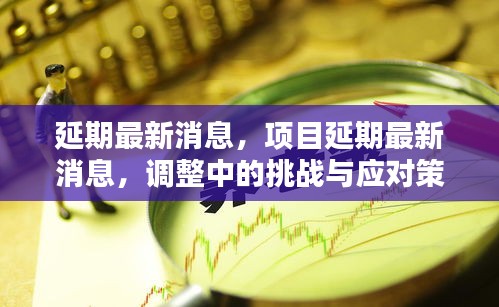 项目延期调整的挑战与应对策略，最新消息汇总