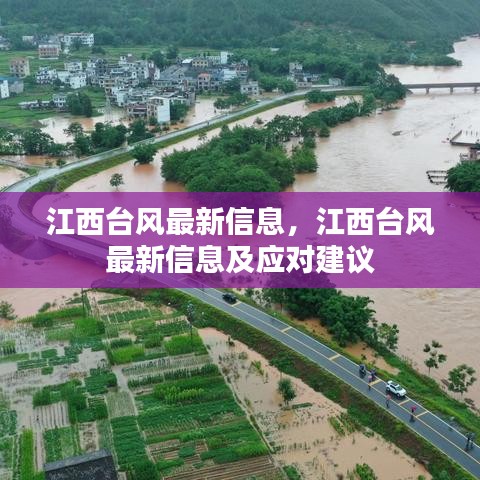 江西台风最新动态，实时信息及应对建议