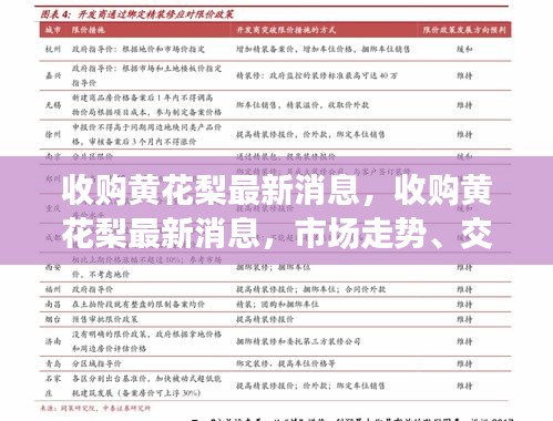 最新黄花梨收购动态，市场走势、交易热点与行业洞察分析