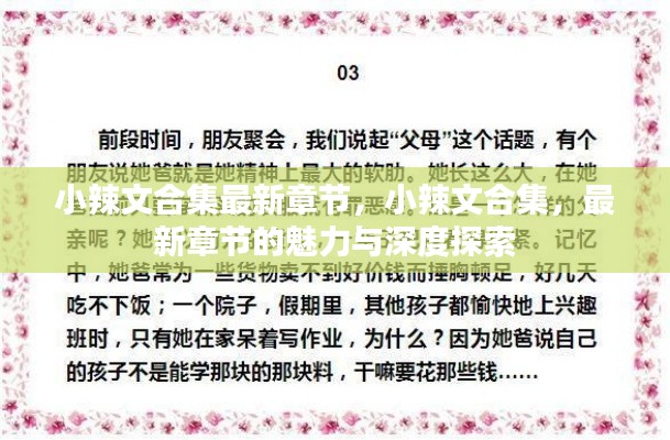 小辣文合集最新章节深度探索，揭秘魅力与警示涉黄风险