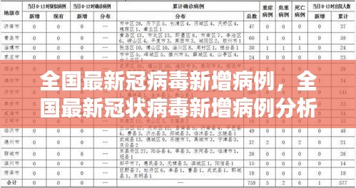 全国最新冠状病毒新增病例分析与防控策略，最新疫情动态及应对策略