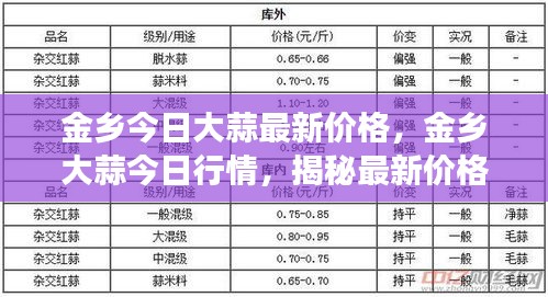 金乡大蒜最新行情揭秘，今日价格动态与市场走势分析