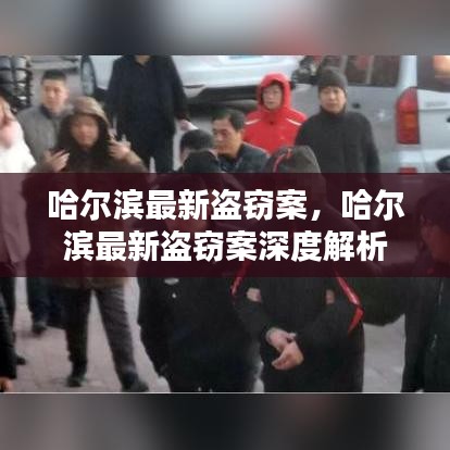 哈尔滨最新盗窃案及其深度解析