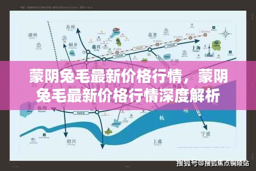 蒙阴兔毛最新价格行情深度解析与趋势预测