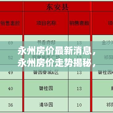 永州房价走势揭秘，最新消息与市场洞察深度分析