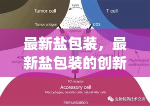 最新盐包装的创新与应用，趋势、挑战与未来展望