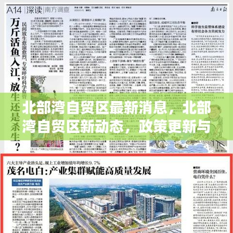 北部湾自贸区新动态及市场反应，政策更新一览