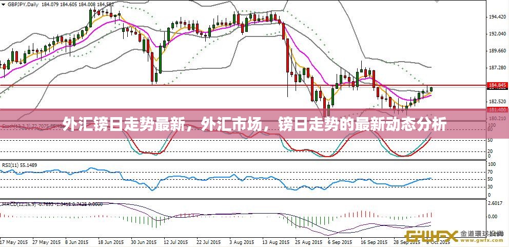 外汇市场最新动态，镑日走势深度解析