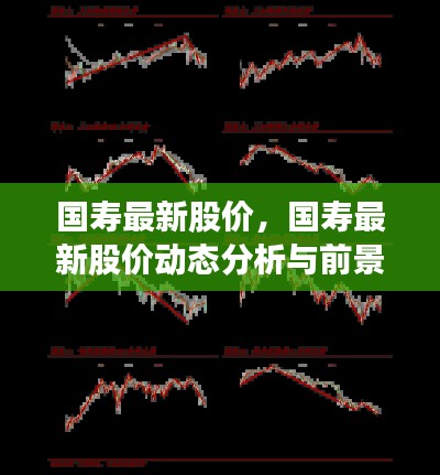 国寿最新股价动态分析与前景展望，深度解析及预测