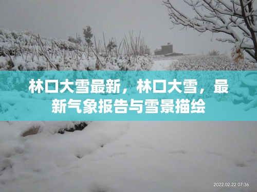 林口大雪实时更新，最新气象报告与美丽雪景一览