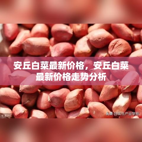 安丘白菜最新价格及走势分析