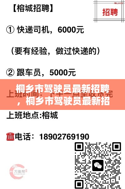 桐乡市驾驶员最新招聘启事，职业机遇与挑战并存的驾驶人才招募