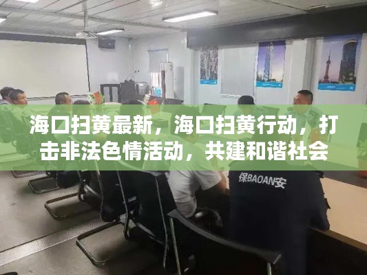 海口扫黄行动，打击非法色情活动，共建和谐社会新篇章