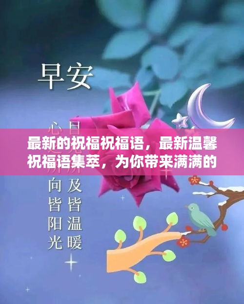 最新温馨祝福语集萃，传递满满的幸福与喜悦