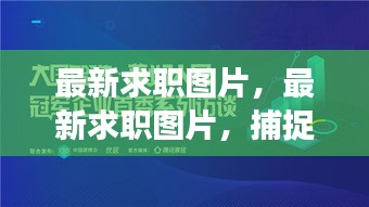 最新求职图片揭秘，职场趋势与未来发展方向洞察