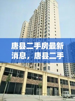 唐县二手房市场最新动态及消息概览