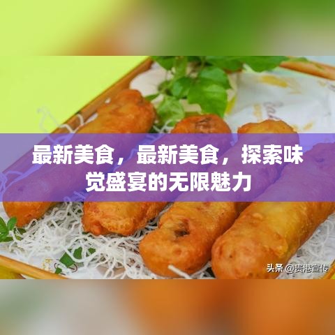 最新美食盛宴，探索味觉盛宴的无限魅力