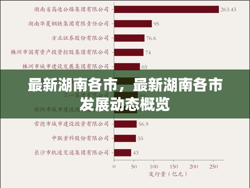 湖南各市发展动态最新概览