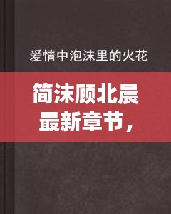 简沫顾北晨最新章节深度解析，探秘与情感剖析