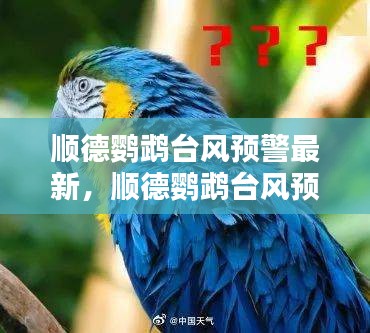 顺德鹦鹉台风最新预警信息及应对策略