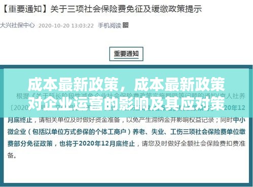 成本最新政策对企业运营的影响及应对策略详解，把握机遇与挑战的指南