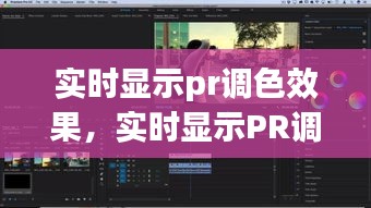 影视后期制作中的色彩魔法，实时展示PR调色效果的功能揭秘