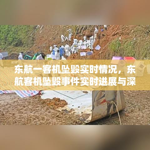 东航客机坠毁事件实时进展深度解析与最新情况关注