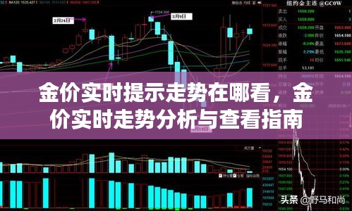 金价实时走势查看与分析指南，掌握最新走势，洞悉投资机遇