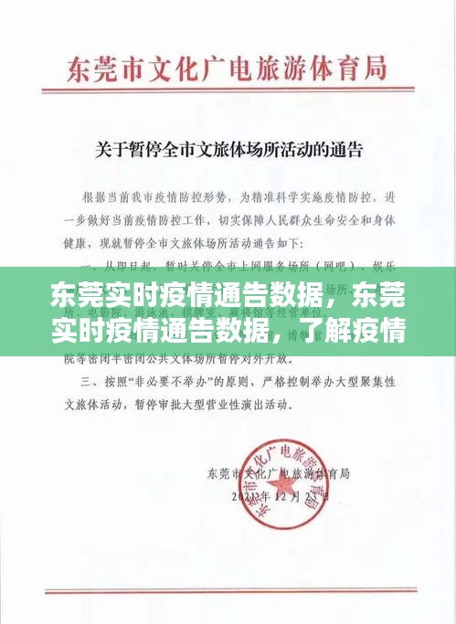 东莞实时疫情数据通报，共同防控，了解疫情最新动态