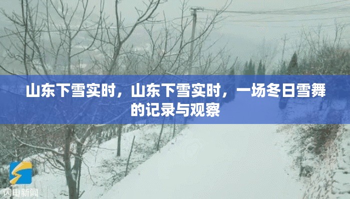 山东下雪实时记录，冬日雪舞的美丽瞬间观察报告