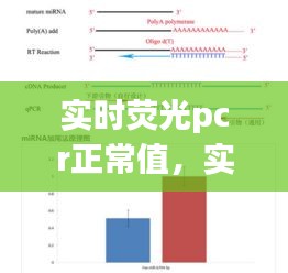 实时荧光PCR正常值及其应用解析详解