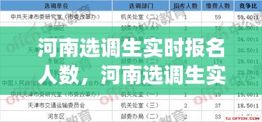 河南选调生实时报名人数分析与观察，报名趋势及洞察