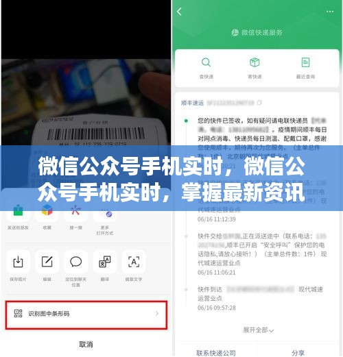 微信公众号手机实时，轻松掌握最新资讯，生活更便捷