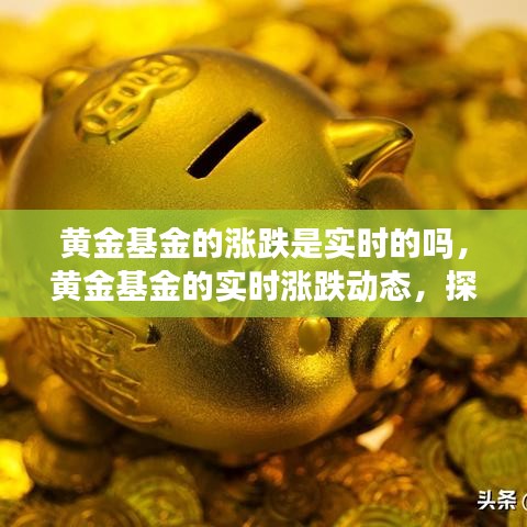 黄金基金实时涨跌动态解析，市场波动与投资策略探究